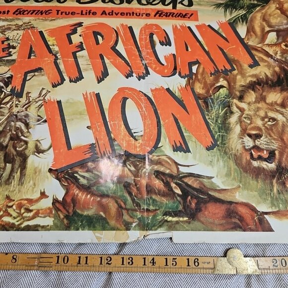 1955 The African Lion Original Walt Disney 28x22 Litho Movie Poster Very Rare US - Picture 7 of 12